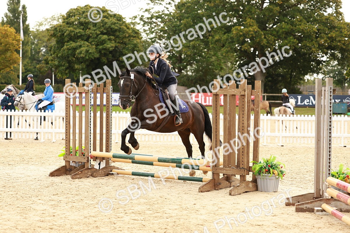 SBM_57806 - J11 - Junior Pony 50cm Championship