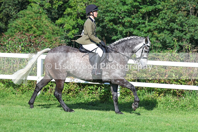 3E7A7836 - Class 2: Open Working Hunter pony