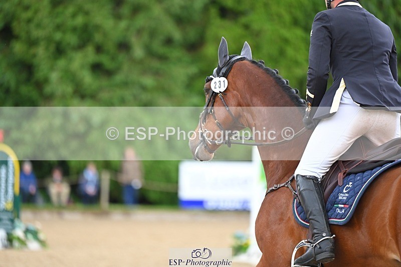 240526-160601-25264 - 231-DHI_ROCK_DANCER-Roberto_Scalisi