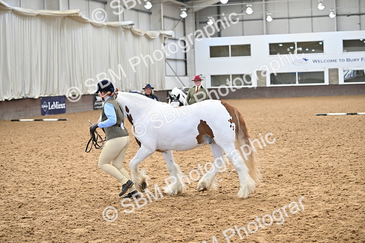 SBM_000288 - Class 10 - In Hand Coloured & Odd Coloured