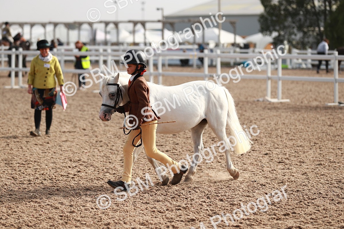 SBM_09907 - Class 203 Young Handler, 10 years and under
