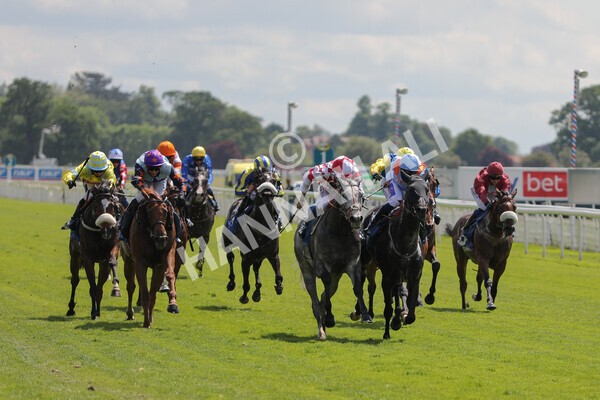 yr11062021r2-16 - Race 2 2.20pm Churchill Tyres Stakes
