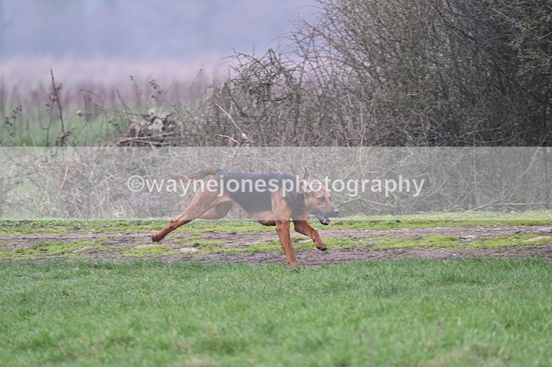 WJ7_0604 - Line 3 cam A