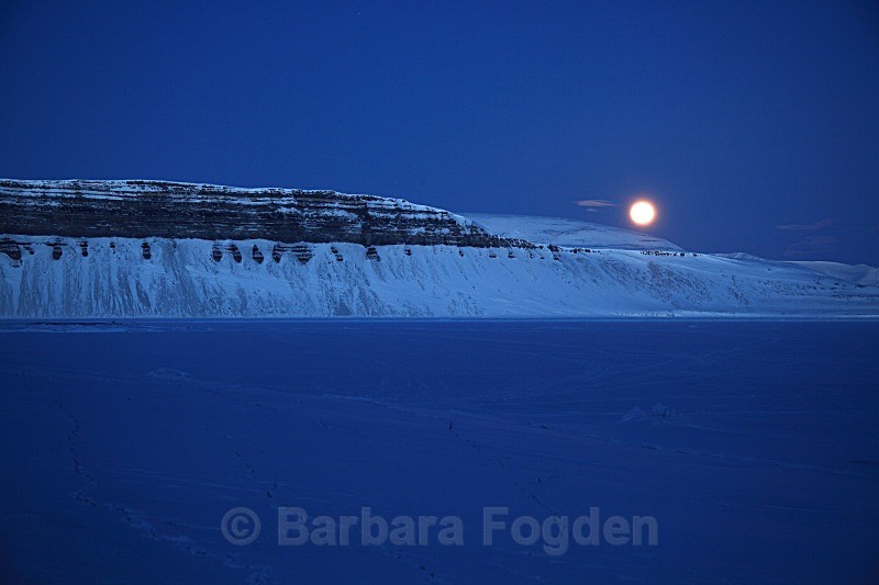 Night in Teplefjorden 0322 - The daylight returns