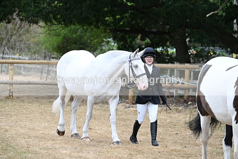 WJ7_8687 - Class 4a Prettiest Mare 14.2hh and over