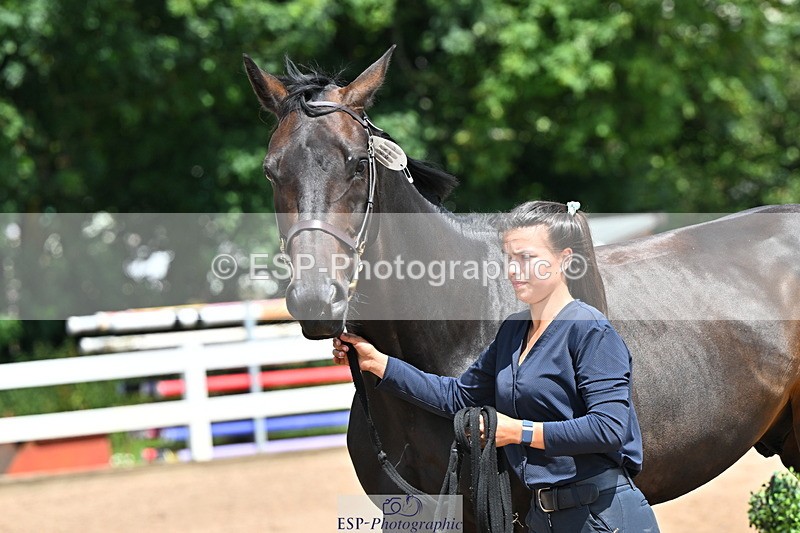 240718A-105316-01778 - Trot Up 1pm to 2pm