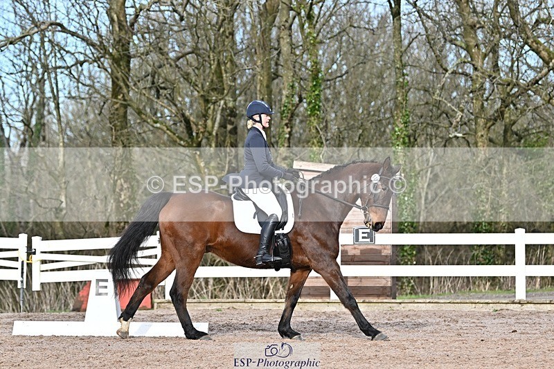 250125-124838-00494 - Dressage - CT Class 6 BE102