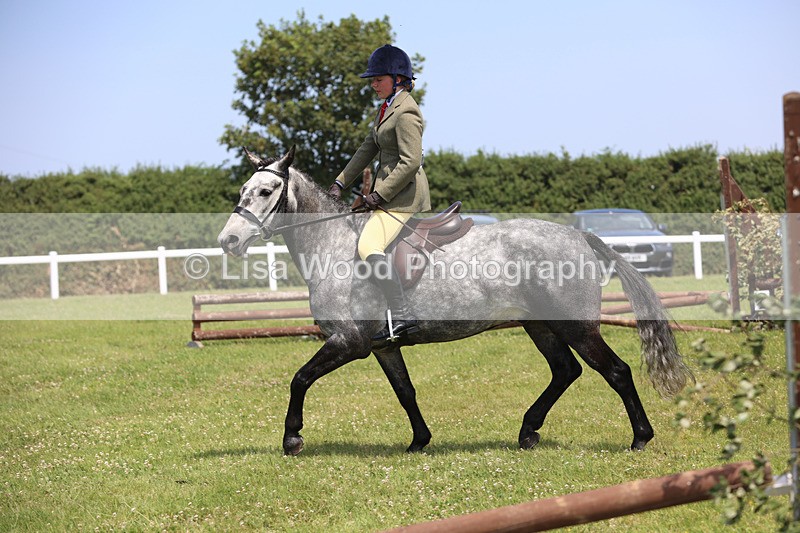JPP_2465 - Class 21: Working Hunter 60cm