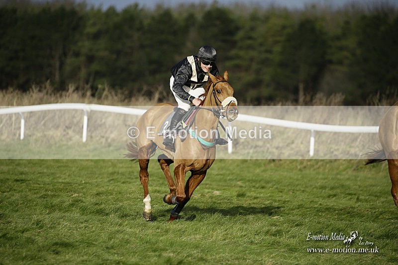 PtP 281121 0135 - Hursley Hambledon Point-to-Point Larkhill 28/11/21
