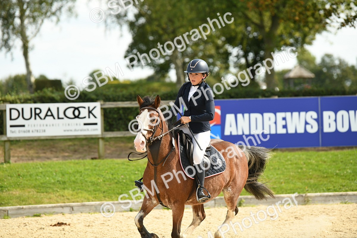 SBM_65033 - J48 - Pairs Jumping Open 70cm & 85cm