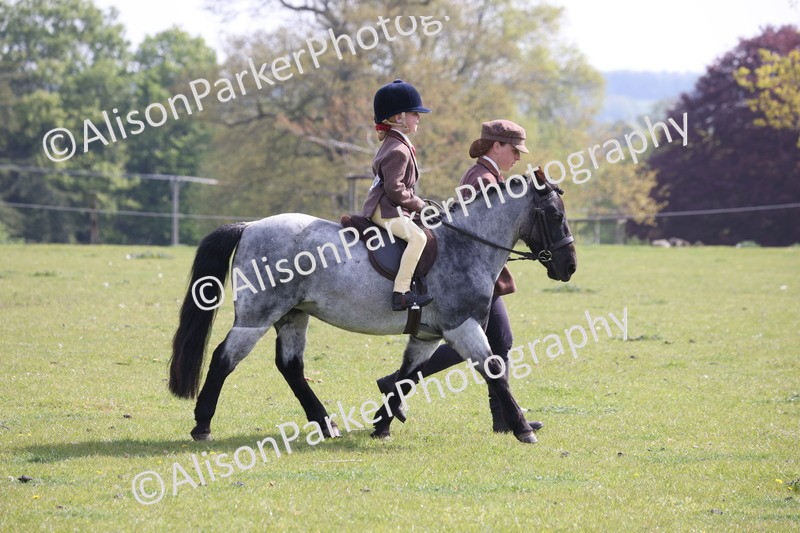 20260426-0607 - Class 31 - Leading Rein