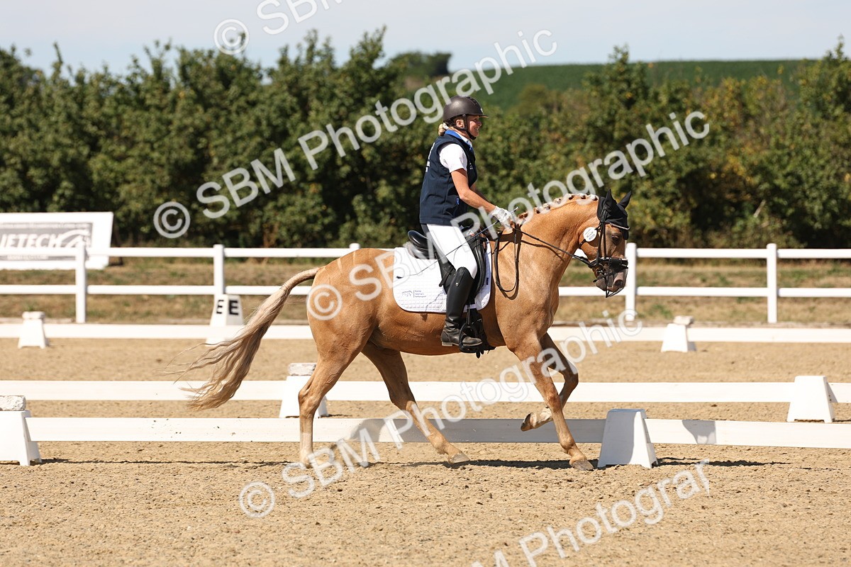 SBM_003671 - Elementary 4