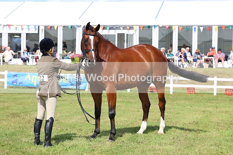 3E7A9557 - Class 4: Rising Star M/H Hunter