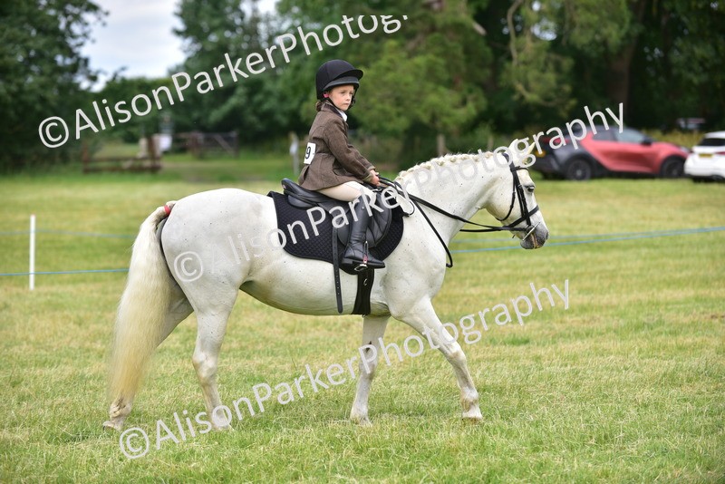 20260614-3644 - Class 15 - Prettiest Mare