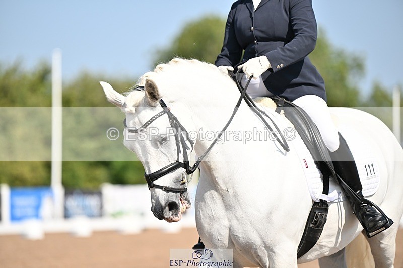 250816-104721-03202 - 111-Sonya.Fitch-PeytonDinnarthal.Buzzard