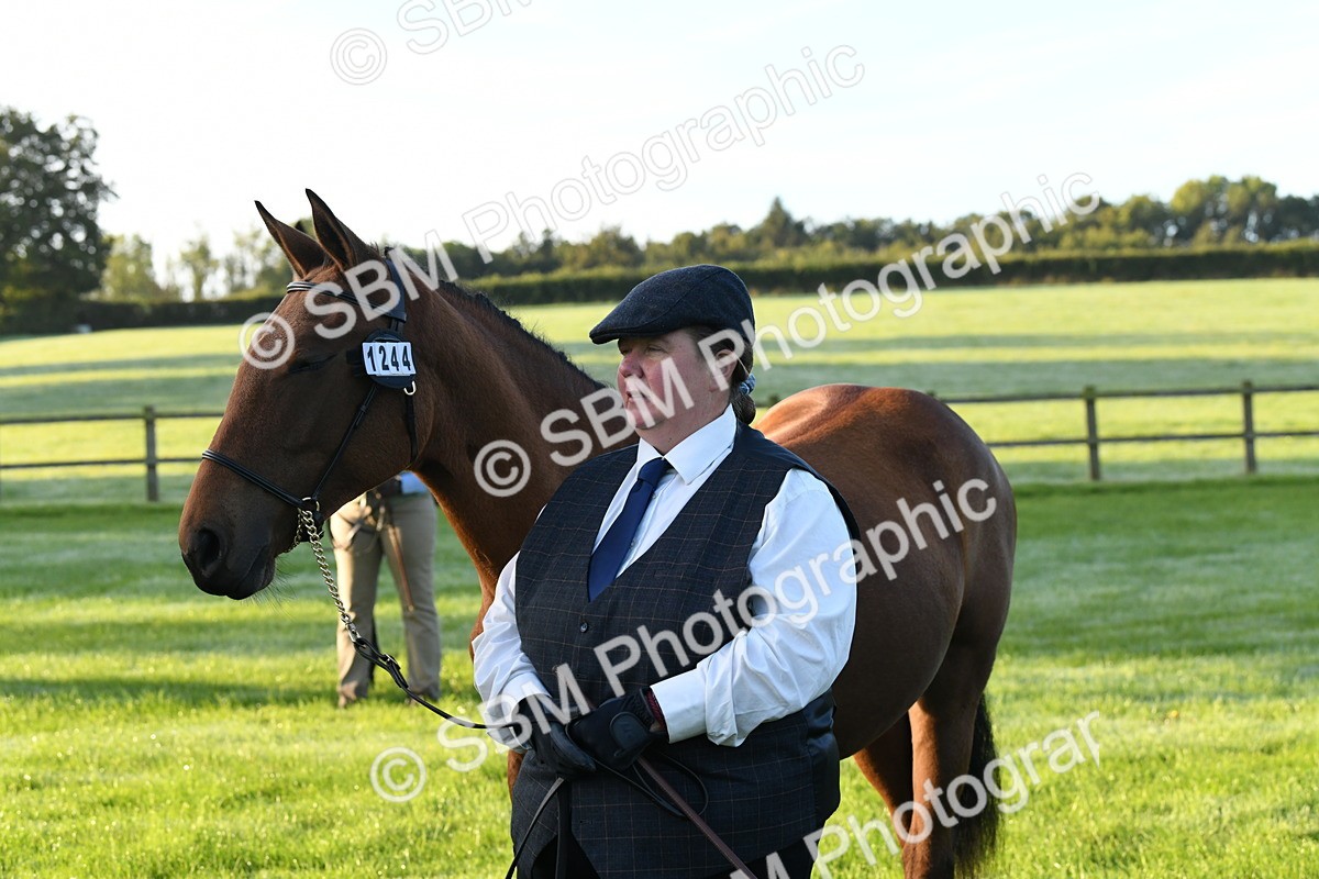 SBM_32660 - S15 - Condition & Turnout In Hand