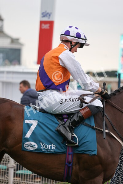 yr22072022r7-14 - Race 7 8.25pm The Sky Bet Go-Racing-In-Yorkshire Summer Festival Stakes