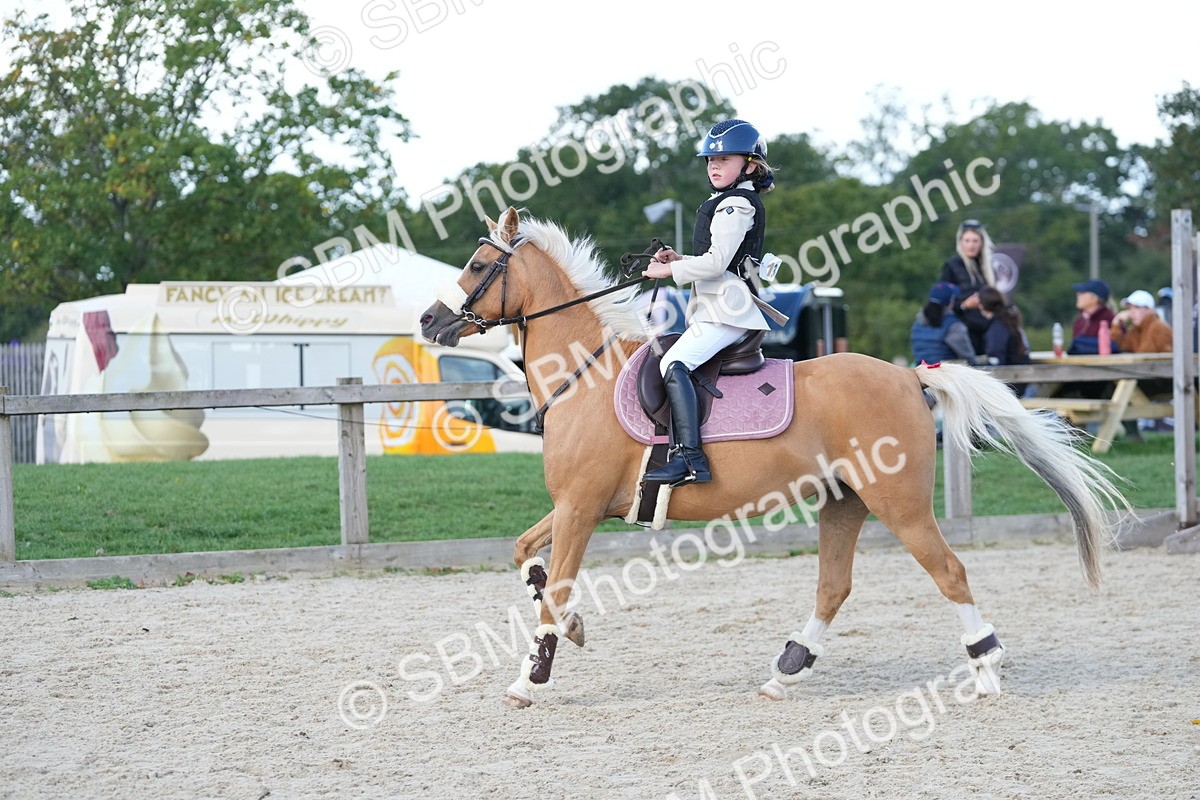 SBM_18174 - J58 - Clear Round 50cm