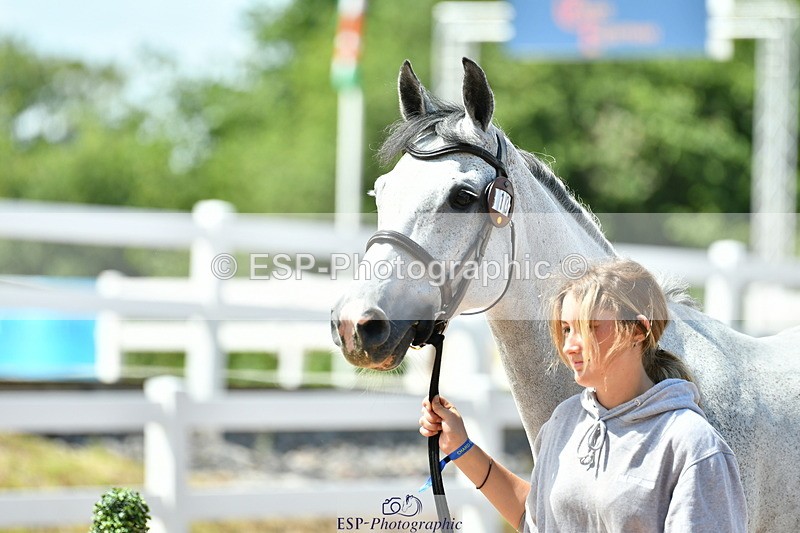 230719A-120542-00095 - Trot Up 12pm to 1pm