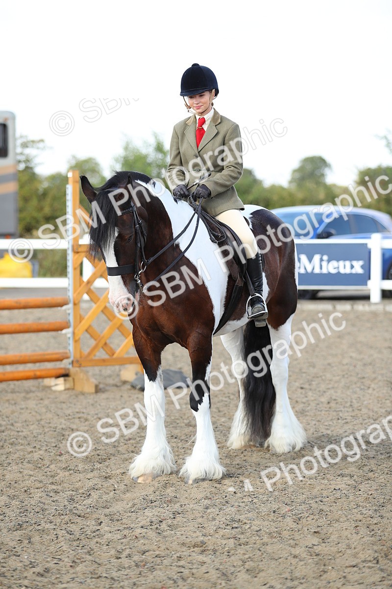 SBM_07006 - Class 49b Style & Performance 80cm (20+)