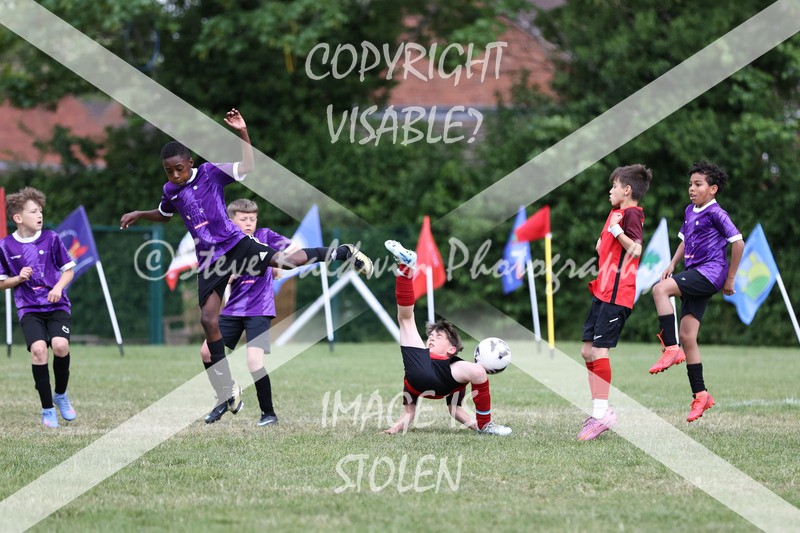 1DX31345 - Brook Field V Goddard Park