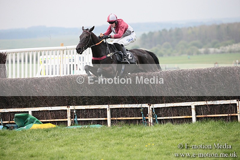 PtP 210418 110 - South & West Wilts Point-to-Point Larkhill 21/04/18