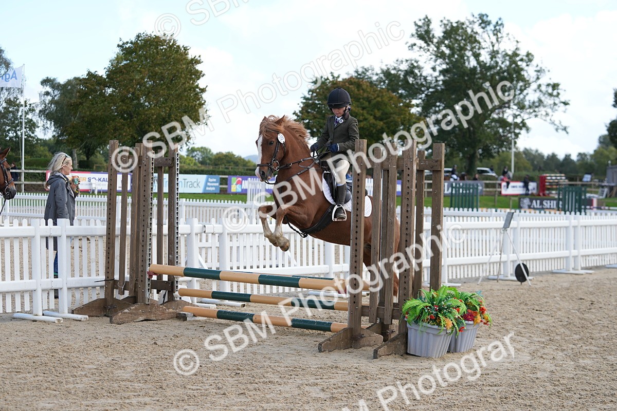 SBM_46722 - J7 - Junior Pony 60cm Championship
