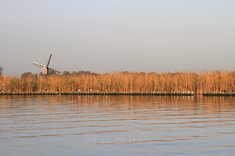 - Home in the Polder