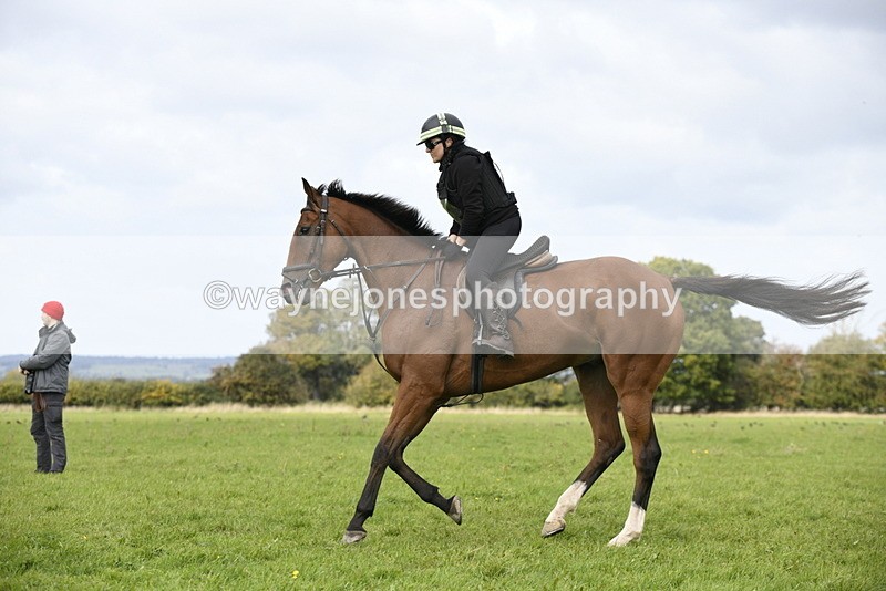 _DSC7836 - Time 12:55 to 13:13