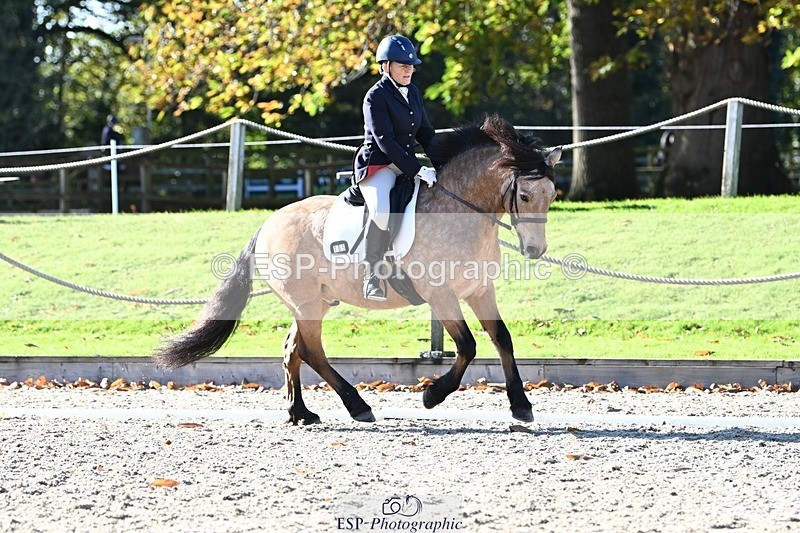 231110-121508-00627 - Cls 3 Novice 22