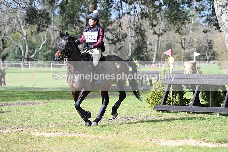 WJ7_3198 - Time 15:41 to 15:52