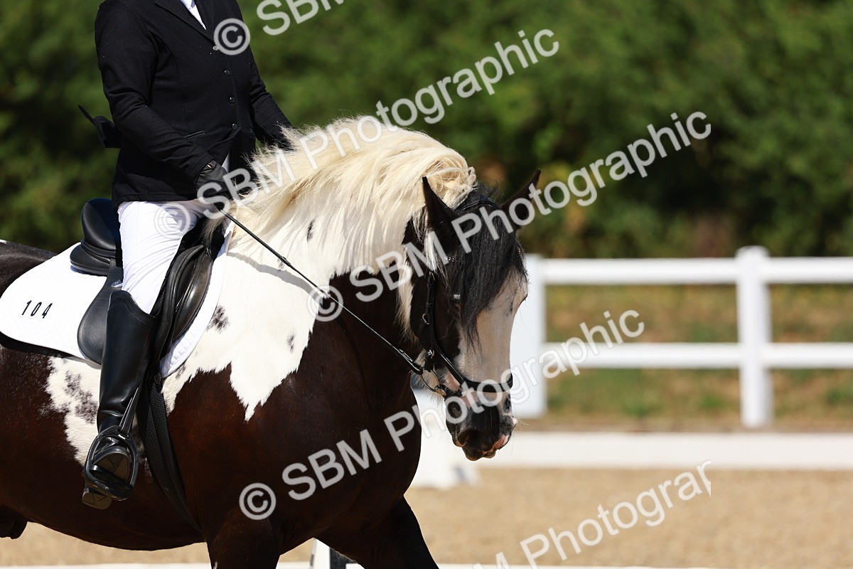 SBM_011572 - Intro 3 - 13.00-14.10