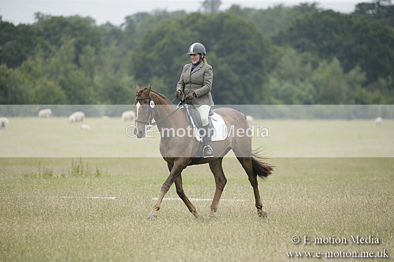B230619-0782 - Bourne Valley Riding Club Summer Show 23/06/19