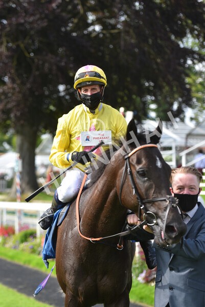 yr10072021r7-31 - Race 7: 5.15pm John Smith's Stakes