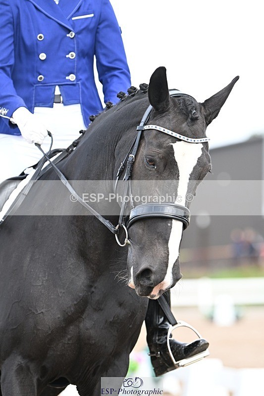 250907-131905-10056 - 062-Lauren.CoxPurely.Pandora