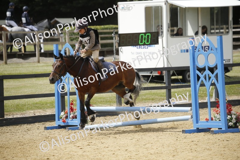 20250622-4083 - 50cm