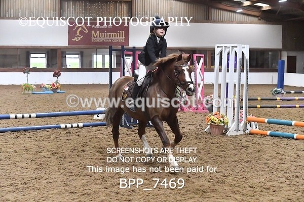 BPP_7469 - 40CM WORKING HUNTER