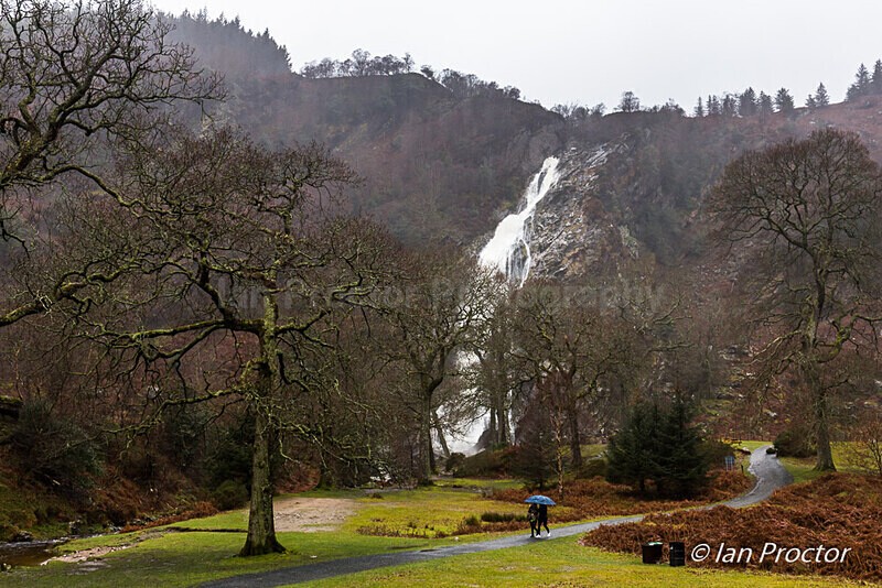 Wet day at Powerscourt Waterfall, County Wicklow, Ireland. - Ireland