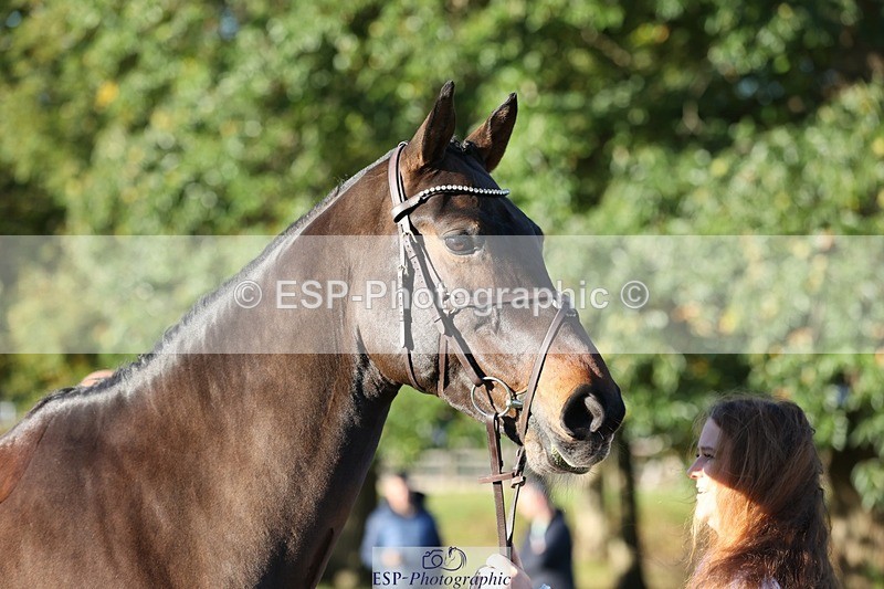 241027-090010-14952 - 458-Paige.Mcwilliams-FVS.CORRADO.MILLION