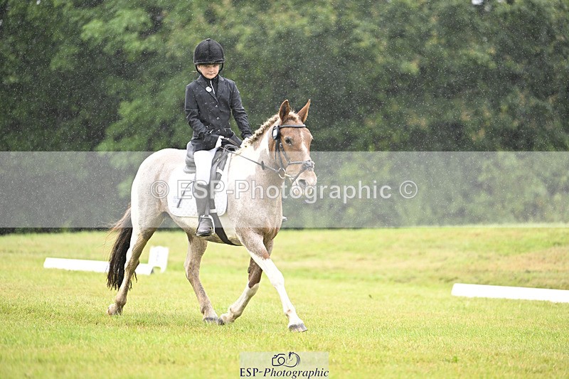 240824X-100645-21513 - D70 Section A and B 9.30 to 10.40