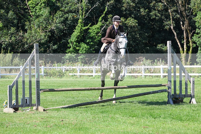 3E7A8272 - Class 4: Novice working Hunter