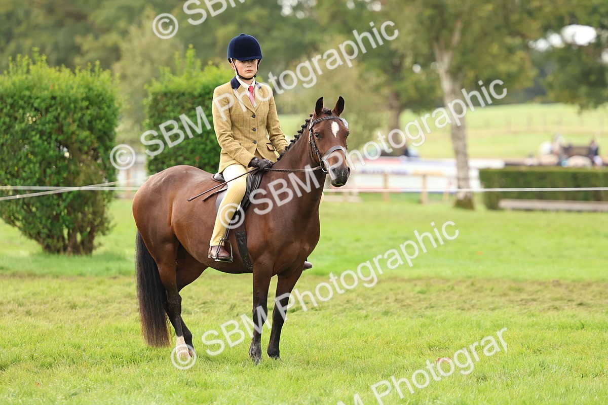 SBM_56677 - S40 - Starters Ridden Showing