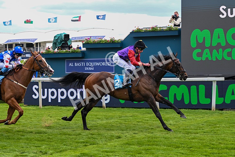 150526-Race 3-Warrant Holder-7561 - Race 3 2.55pm Support Macmillan Charity Raceday On 13 June Handicap