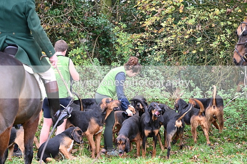 WJ6_8539 - Meet