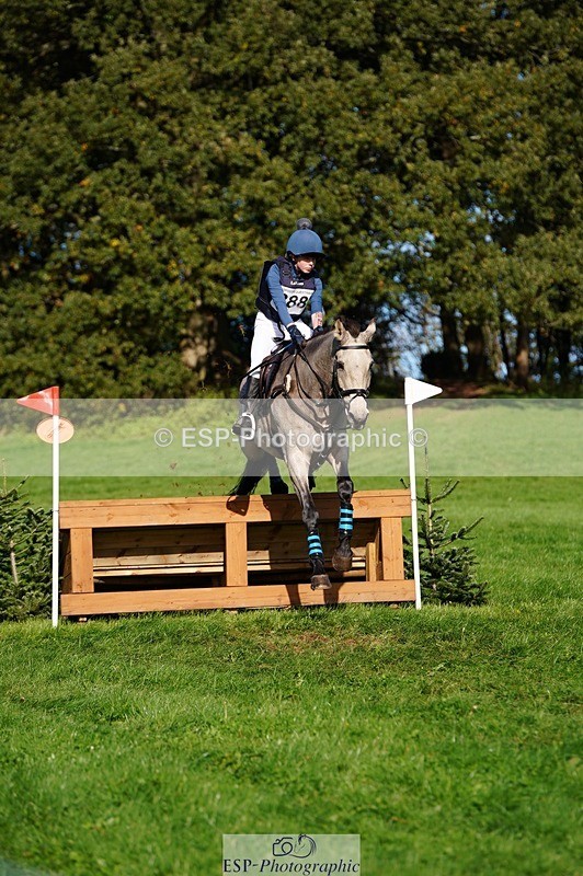 241026-115434-13155 - 388-Anaya.Stoneman-DUNTOATEE