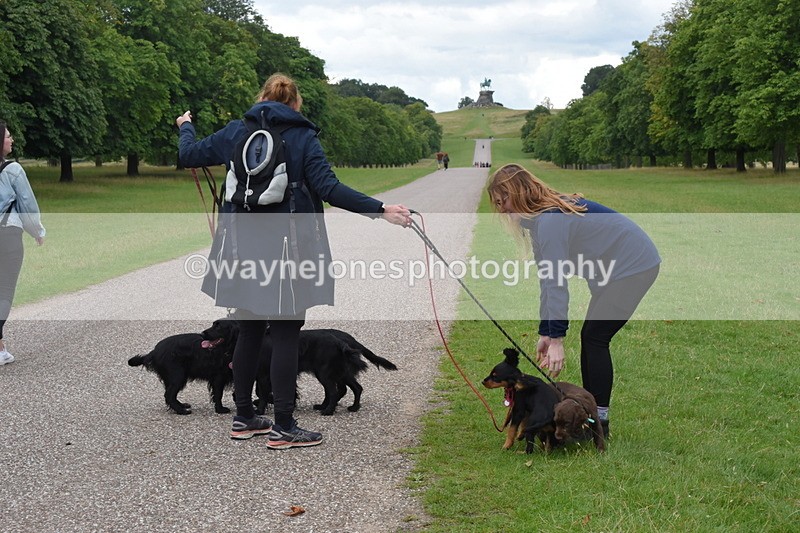 TT3_0506 - Time at Crossing 14:53 to 1526