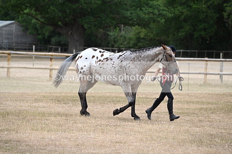WJ6_8530 - Class 10 Coloured in Hand