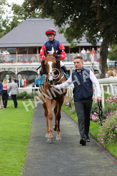 yr04092022r5-48 - Race 5 4.05pm Little Green Rascals Children's Nurseries Stakes