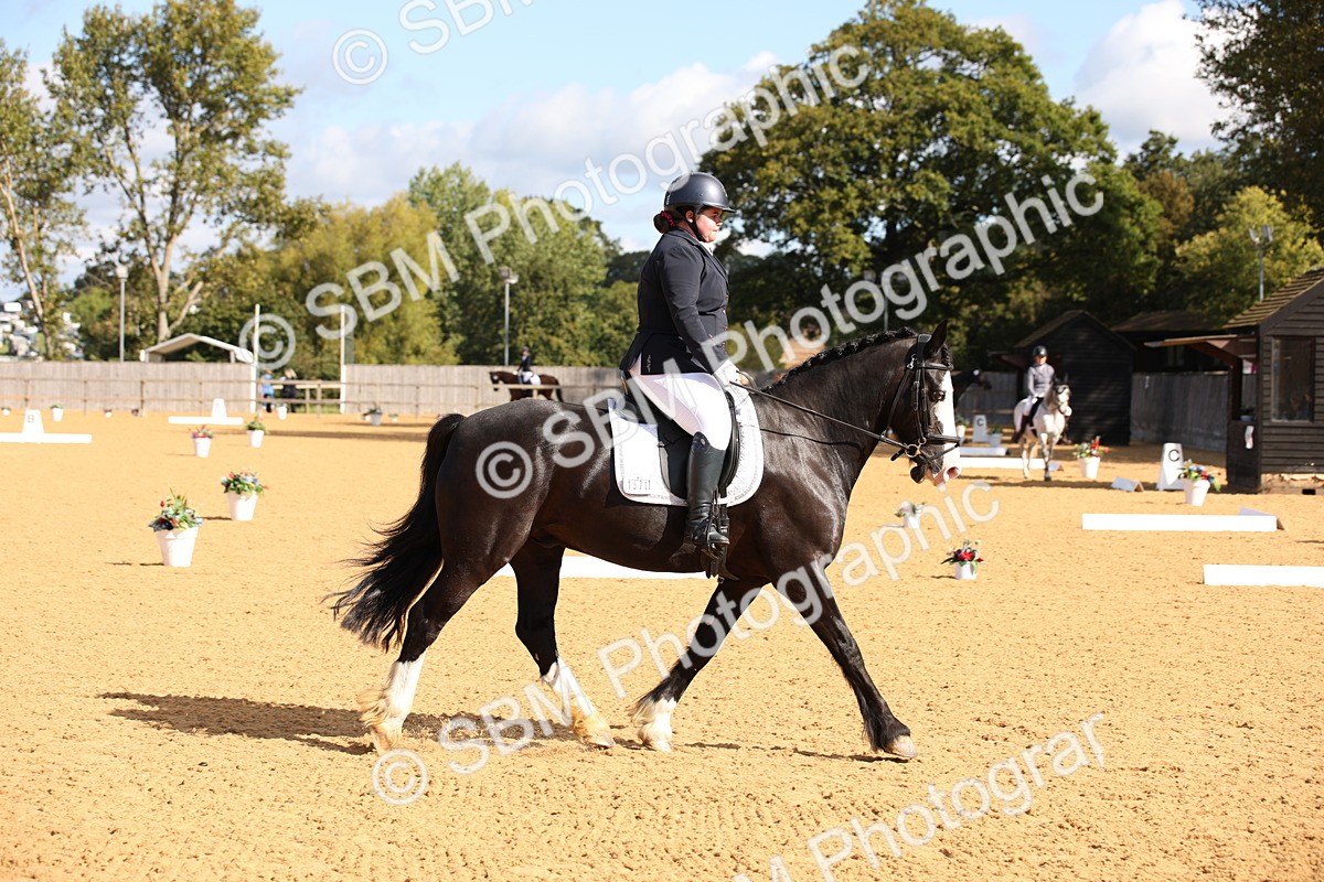 SBM_04183 - D2 Small Tour Championship Intro C