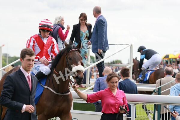 yr21052022r5-15 - Race 5: 4:07pm Phoebe Johnson Celebration EBF Restricted Novice Stakes